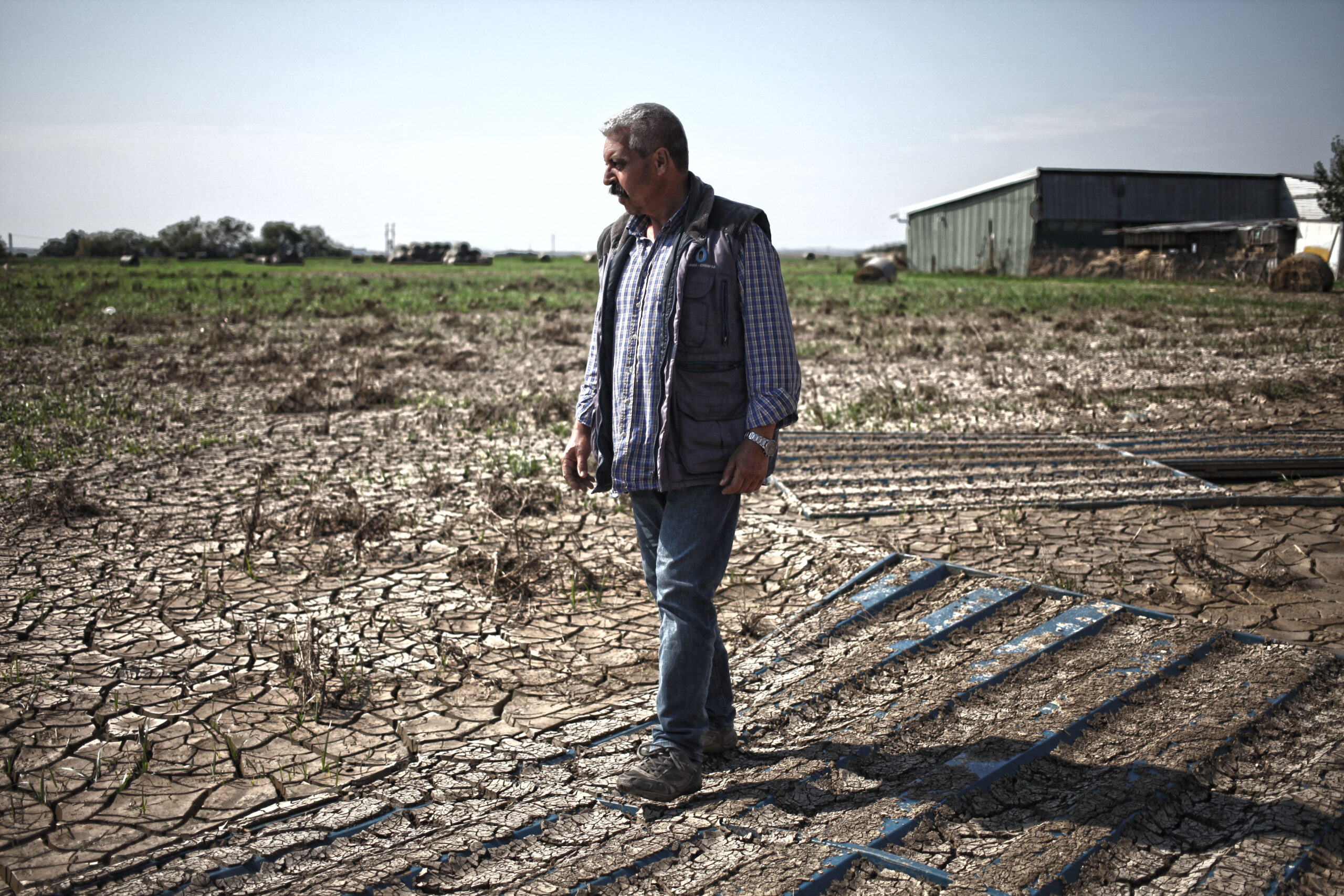 Ερημοποίηση: Πώς (όλες) οι ελληνικές κυβερνήσεις σαμποτάρουν τους Έλληνες αγρότες